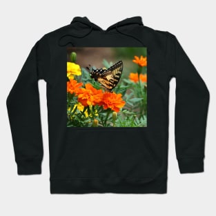 Swallowtail Butterfly and Marigold Garden Hoodie